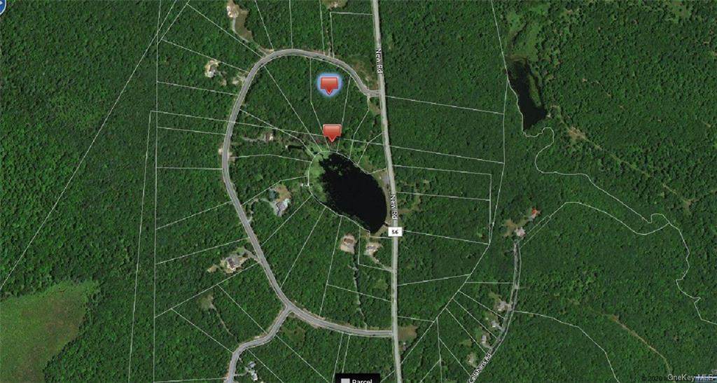 Pine Lake Drive - Photo 1