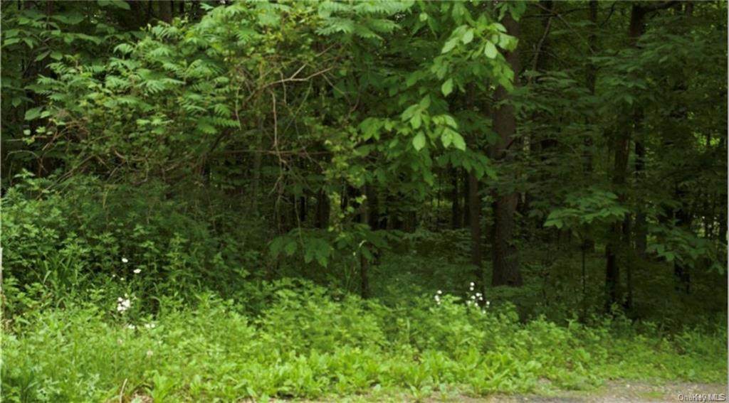 1501 Us Route 209 - Photo 1
