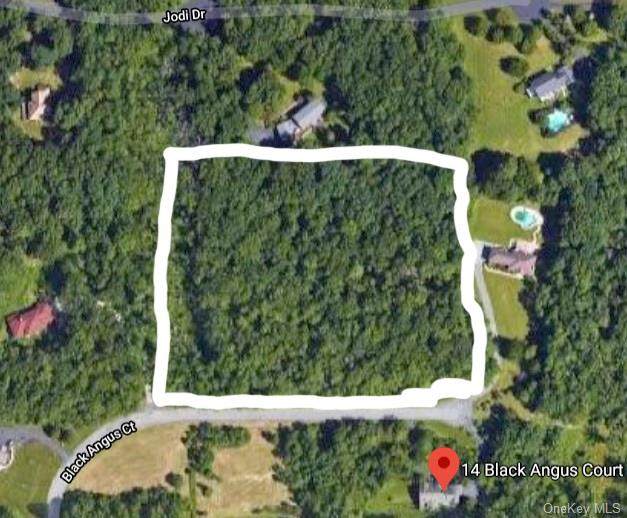 Black Angus Ct Road - Photo 1