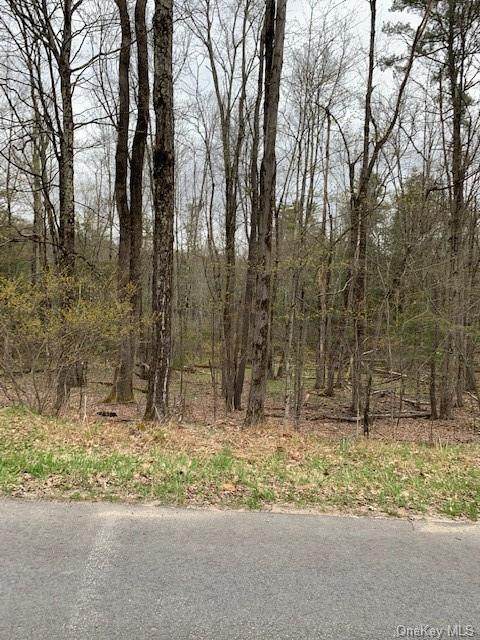 Mt Hope Road - Photo 1