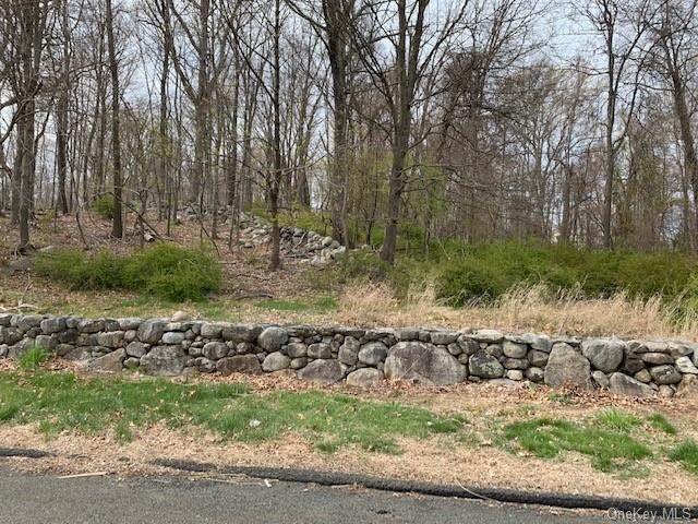 4 Perrins Peak Road - Photo 1