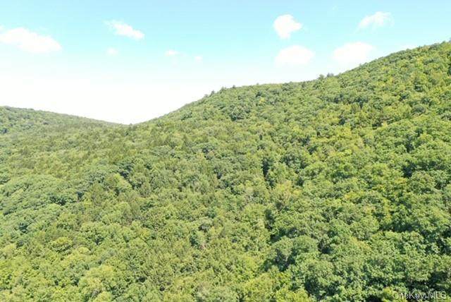 Route 17 - Photo 1