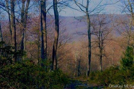 Mount Vernon Road - Photo 1