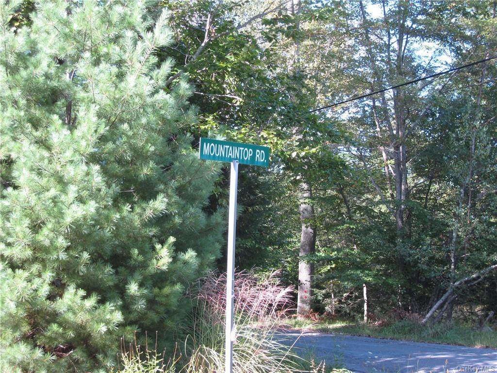 Mountain Top Road - Photo 1