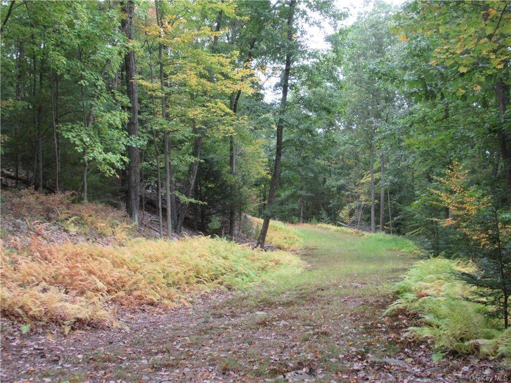 32 Old Country Road - Photo 1