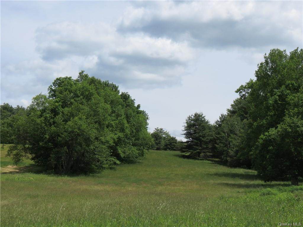Kelly Road - Photo 1