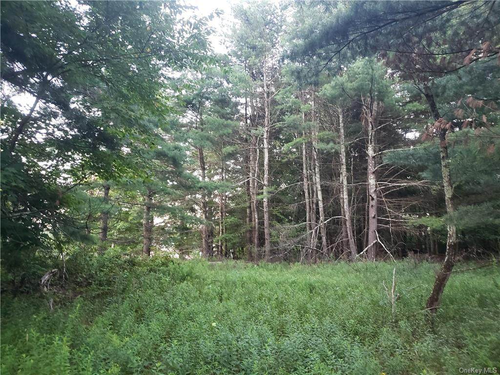 Old White Lake Turnpike - Photo 1