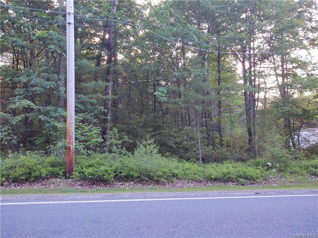 Forestburgh Road - Photo 1