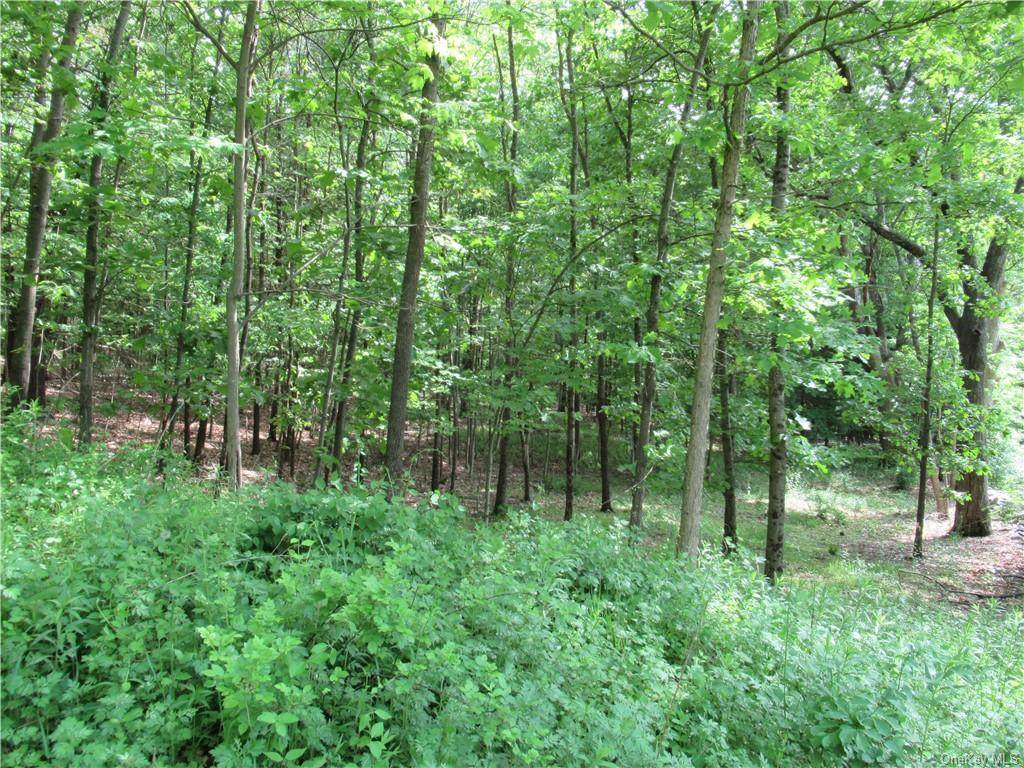 10 Middleton Road - Photo 1