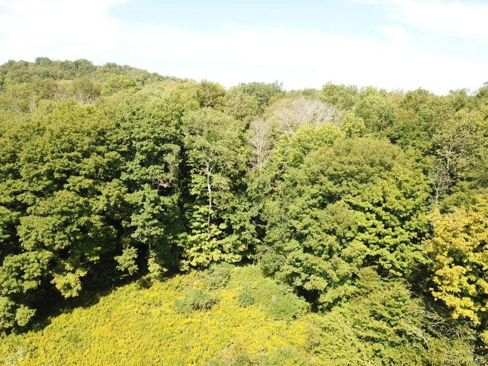 00 Dutch Hill Road - Photo 1