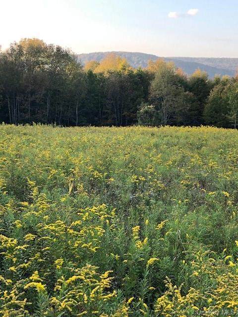 Dietz Road - Photo 1