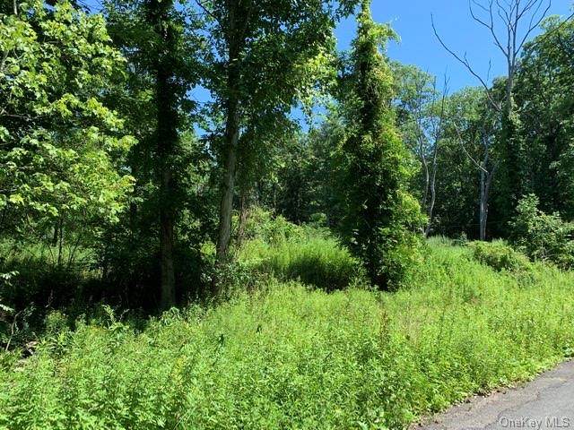 Birch Road - Photo 1