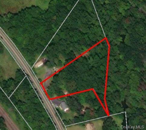 44 Lot 2 Mud Mills - Photo 1