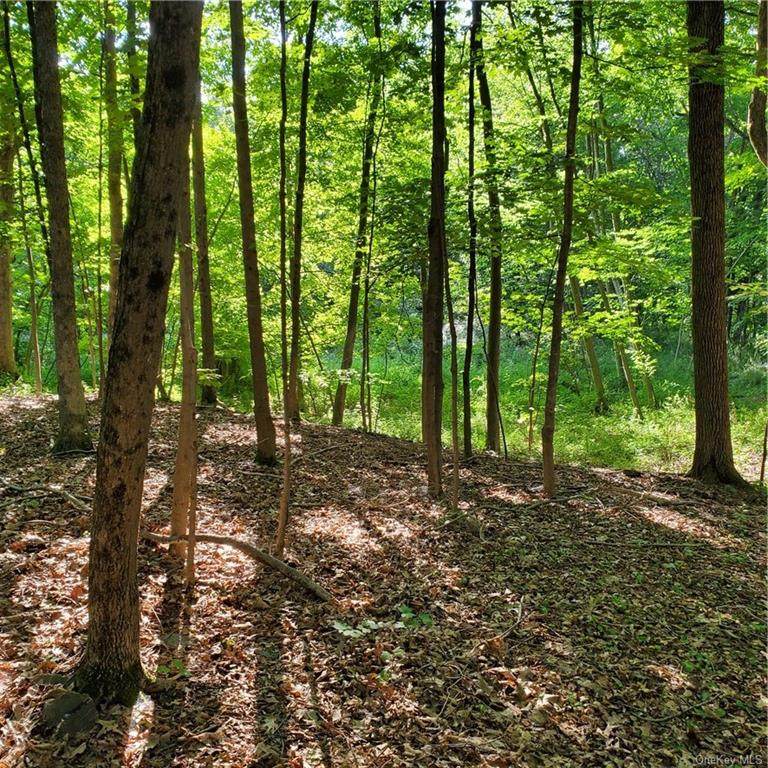 1181 Lakes Road - Photo 1