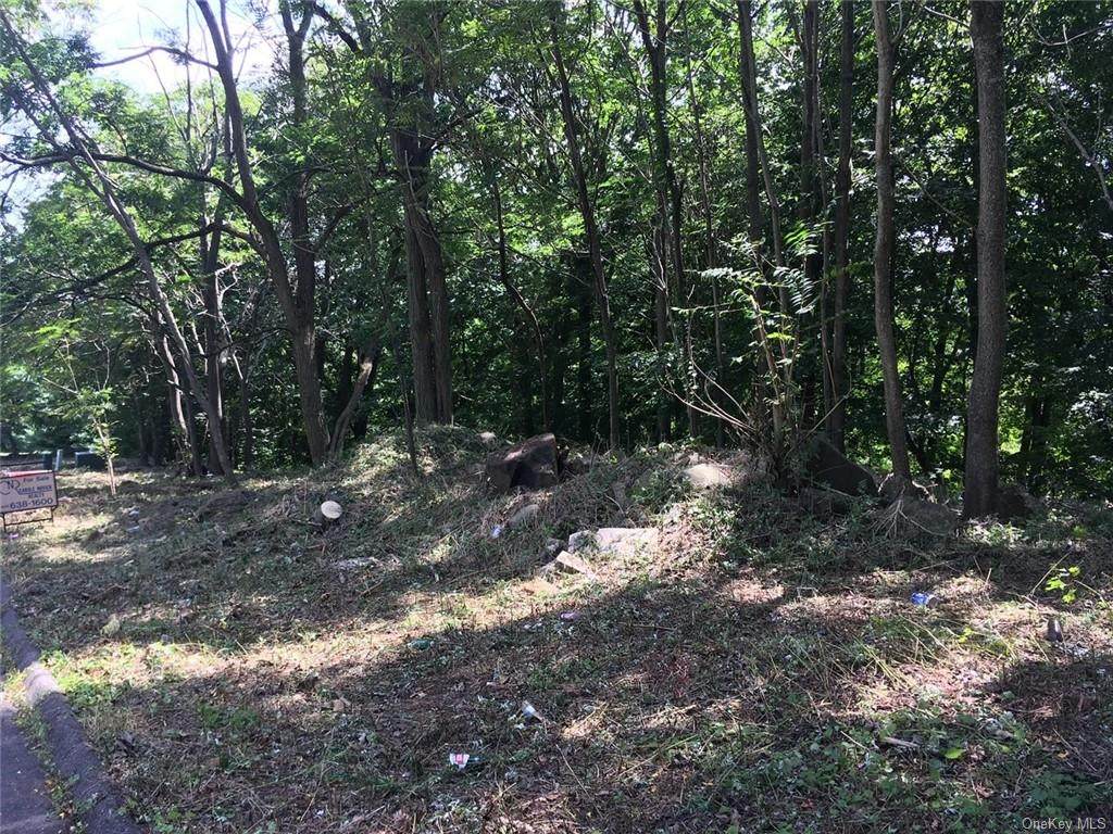 29 Ridge Road - Photo 1