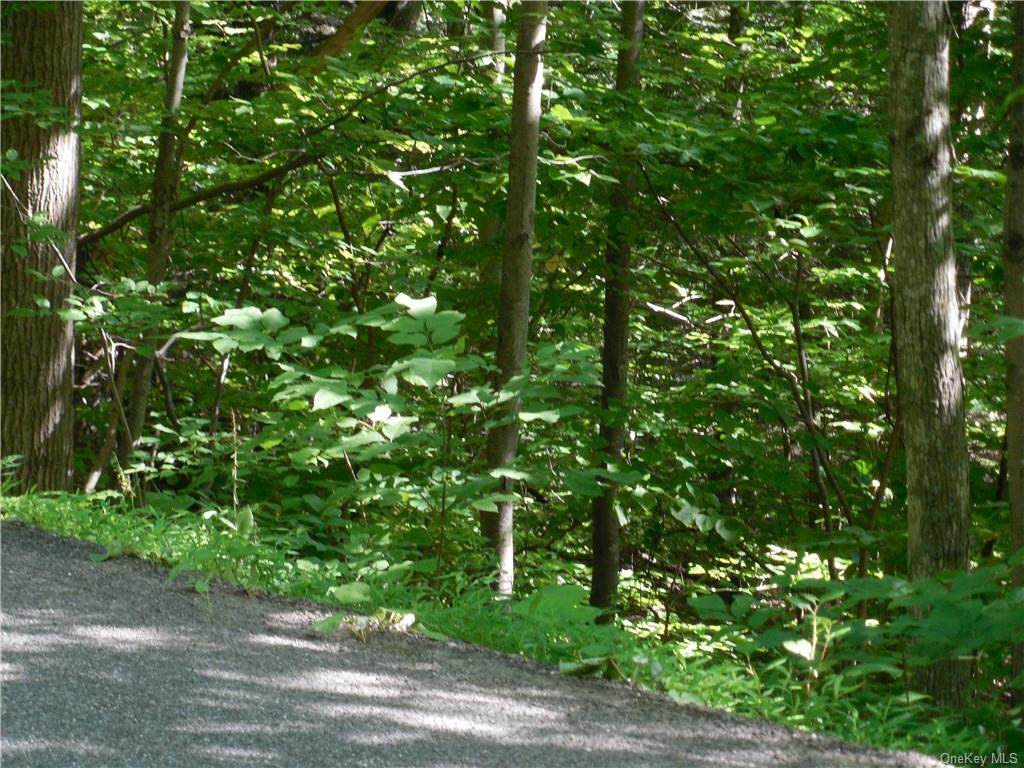 Traver Hollow Road - Photo 1