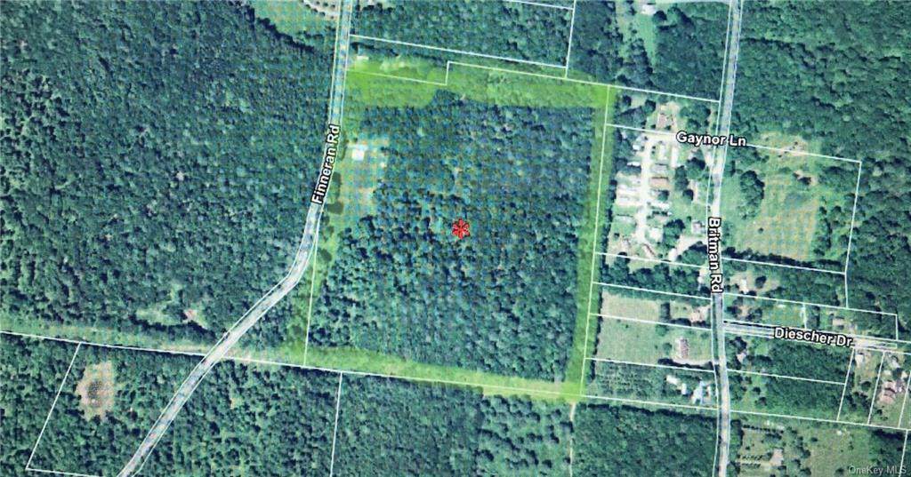 255 Royce Road - Photo 1