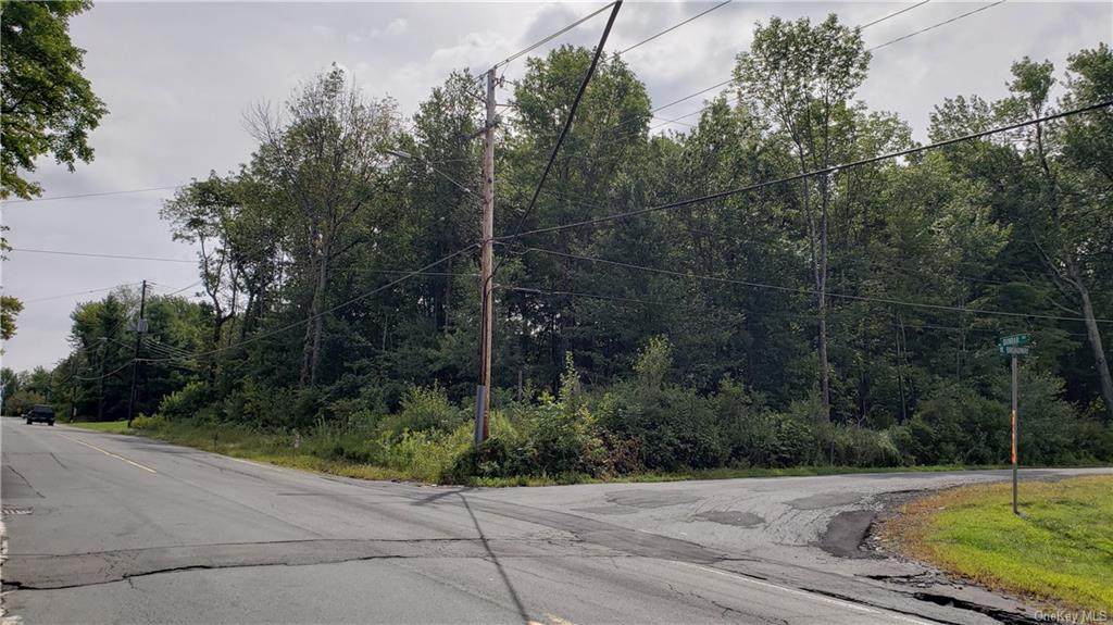 17 Dunbar Road - Photo 1