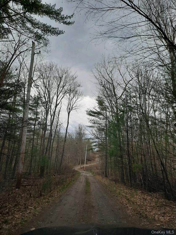 South Trail #2 Off Of Route 97 - Photo 1