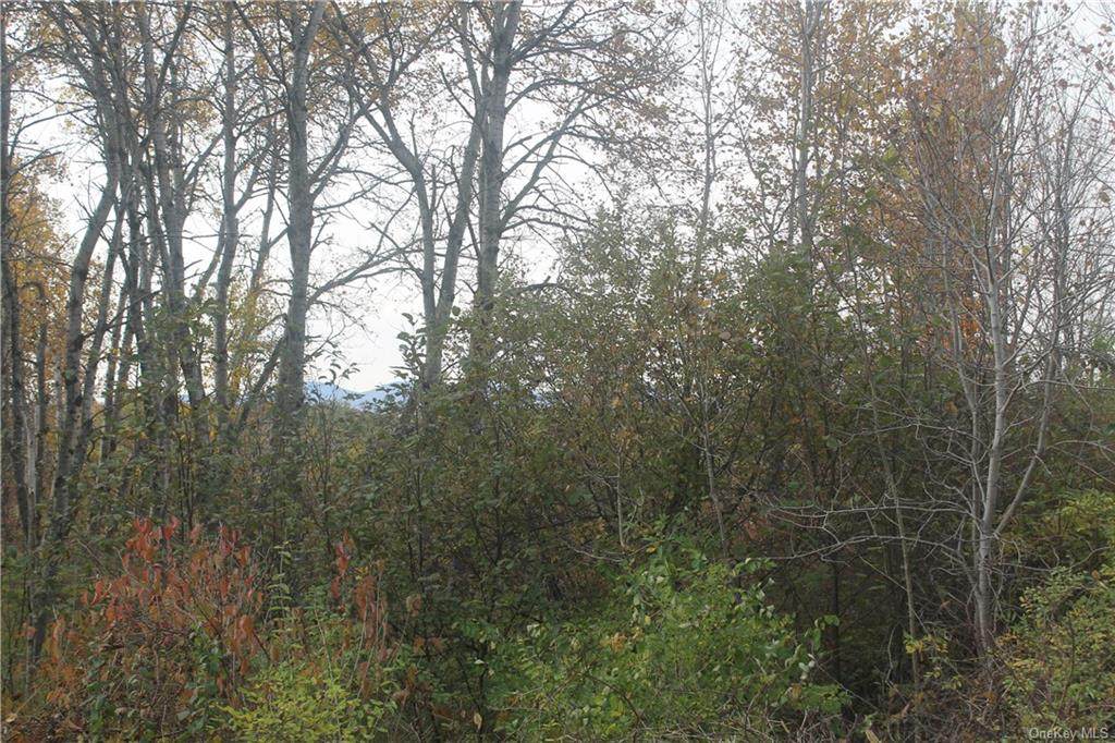 County Rte 410 - Photo 1
