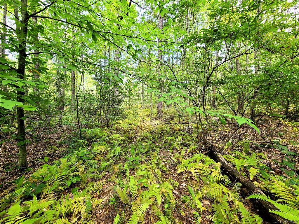 37 Trillium Trail - Photo 1
