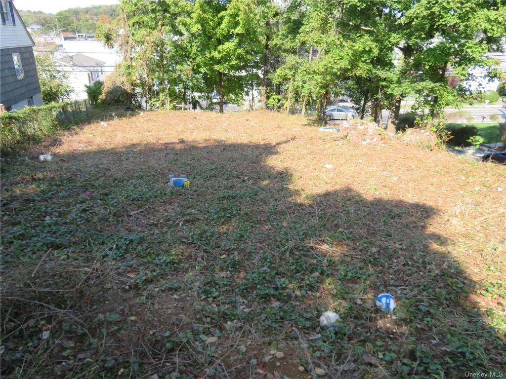 0 Dobbs Ferry Road - Photo 1