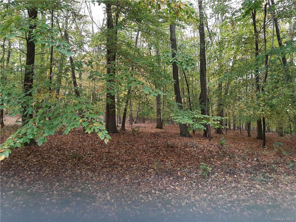 237 Salem Road - Photo 1