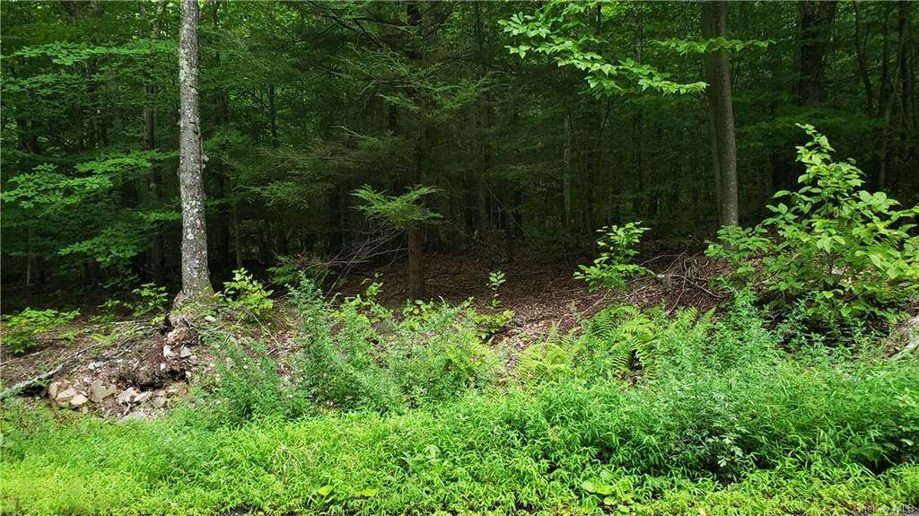 Clark Road Tr 21 - Photo 1
