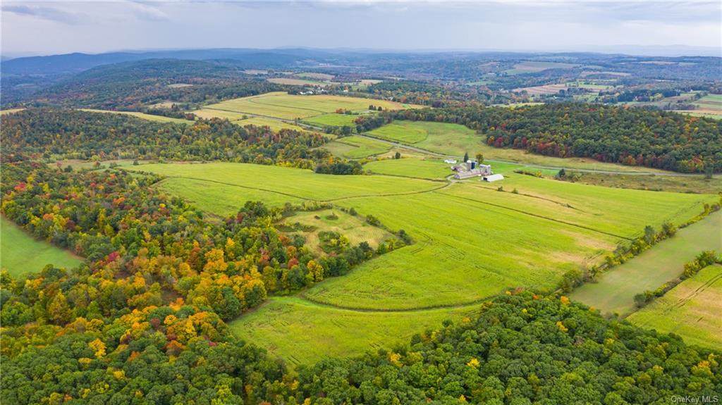 Homestead Farm Lane - Photo 1