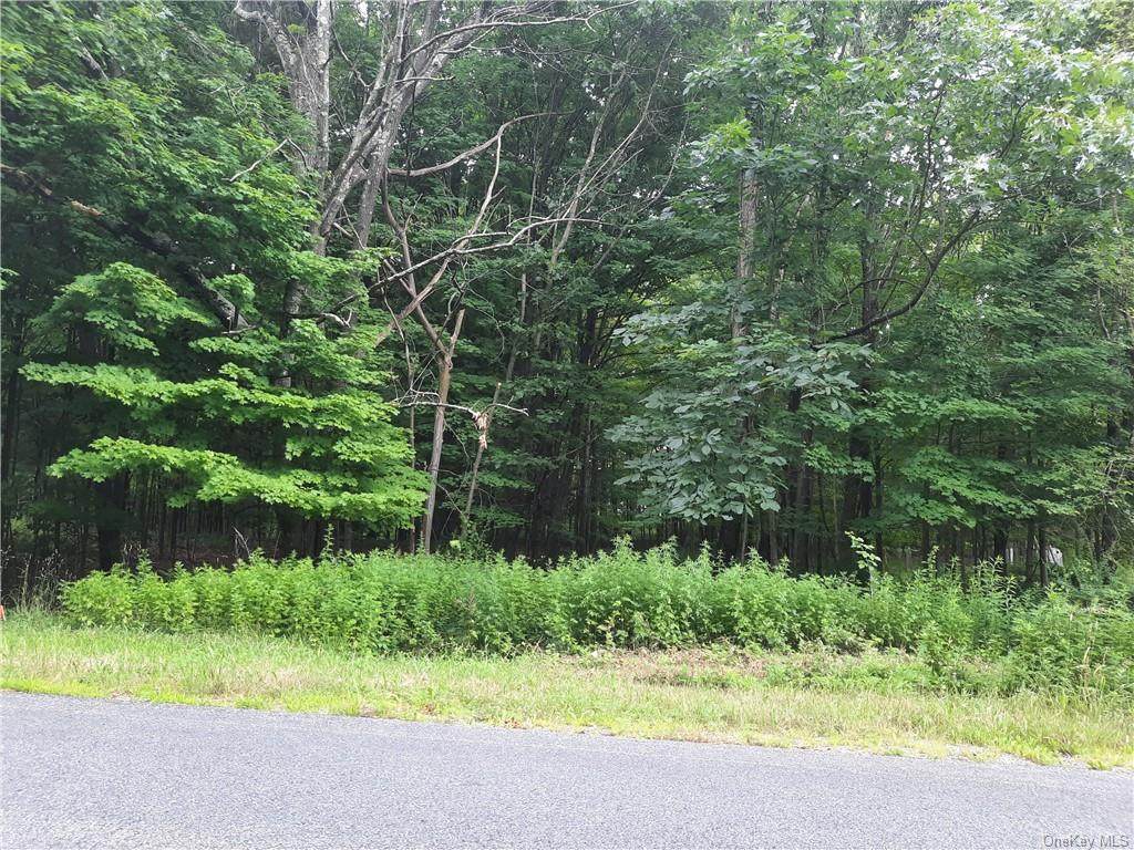 Lot A Shoddy Hollow Road - Photo 1