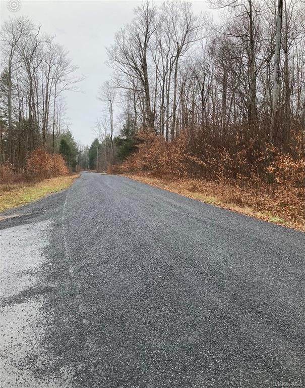 Big Woods Road - Photo 1