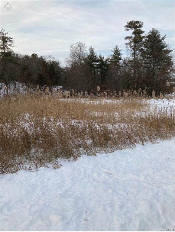 Iroquois Lane - Photo 1