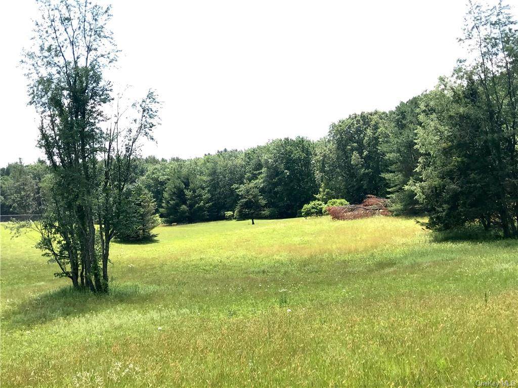 46 Jessup Switch Road - Photo 1