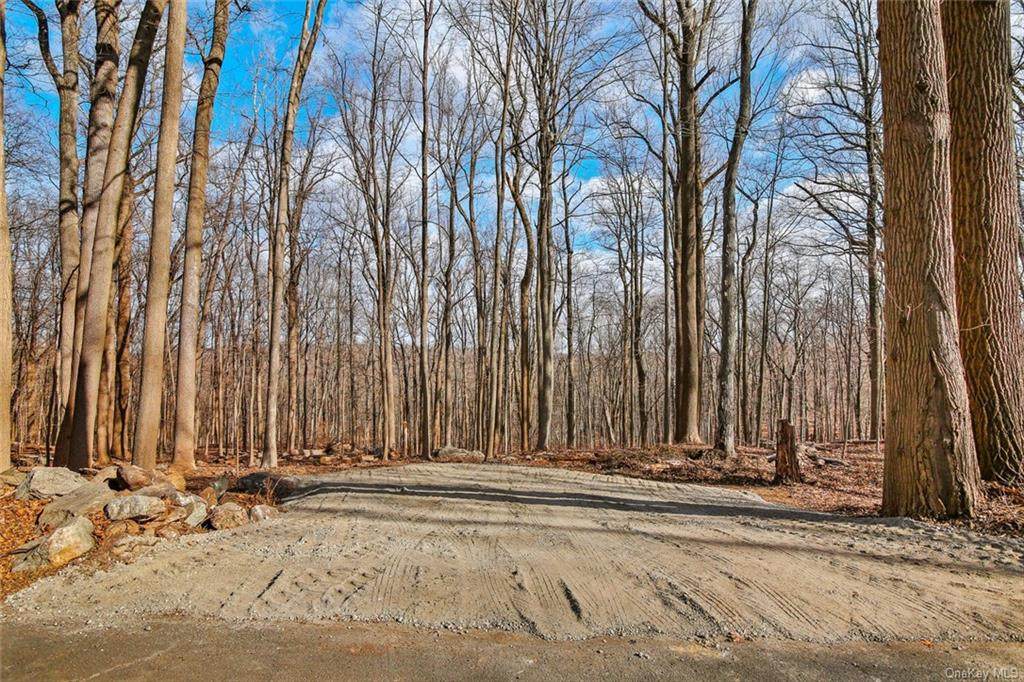 0 June Lot 1 Road - Photo 1