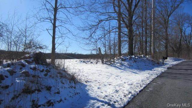Union School Road - Photo 1