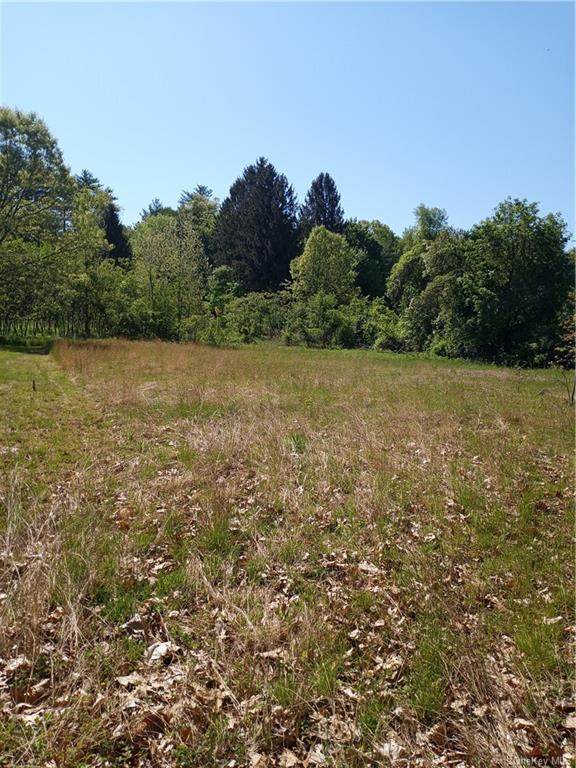 113 Route 209 - Photo 1