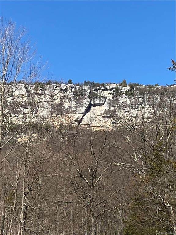 TBD Mountain Road - Photo 1