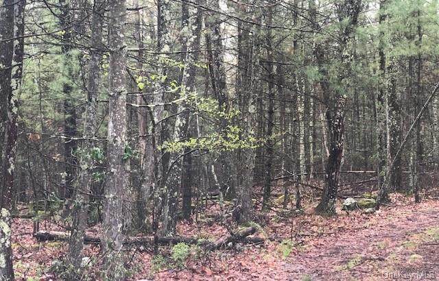 Irishtown Rd, Tr 20 - Photo 1