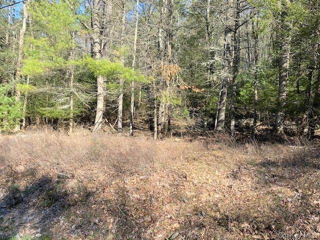 Hillside Road - Photo 1