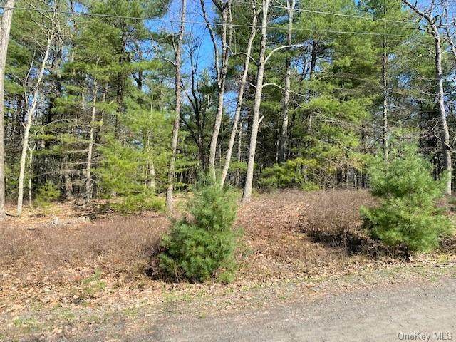 Split Rock Drive - Photo 1