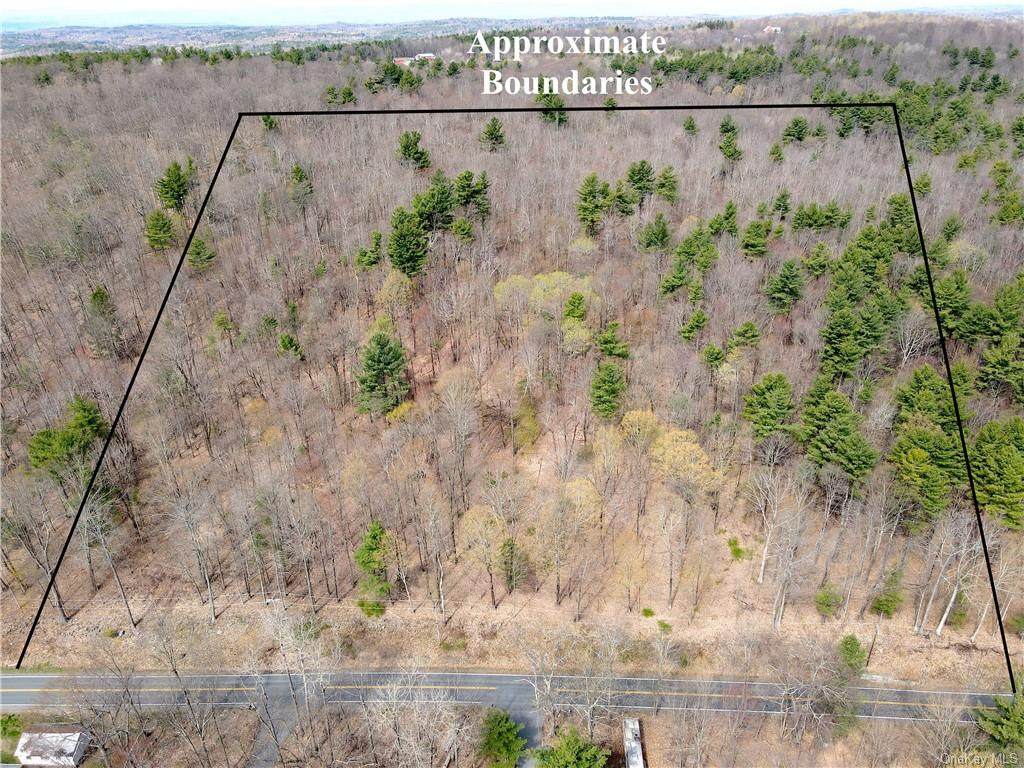 Burden Lake Road - Photo 1