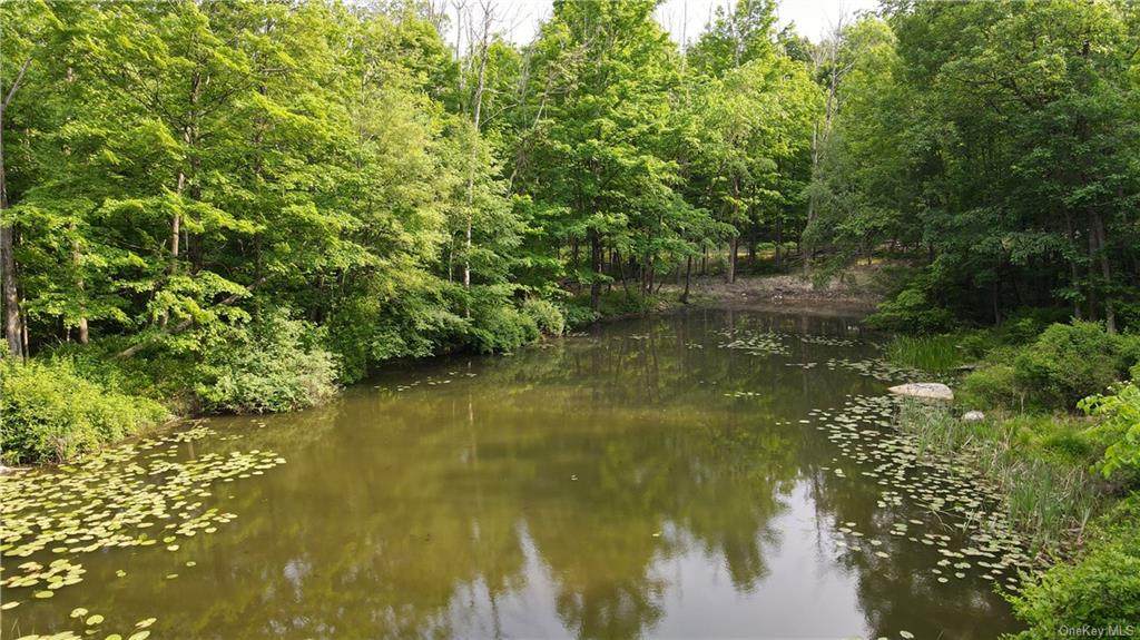 Lot 2 Roosa Gap Road - Photo 1