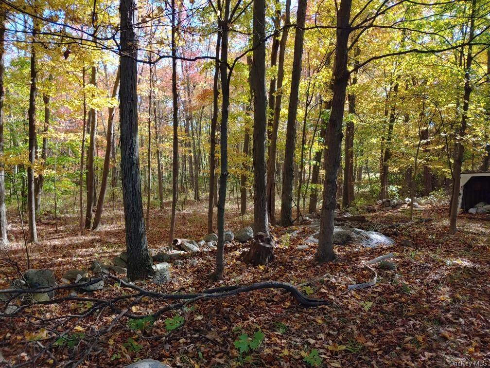 4 Frozen Ridge/Kathleen Heights Road - Photo 1