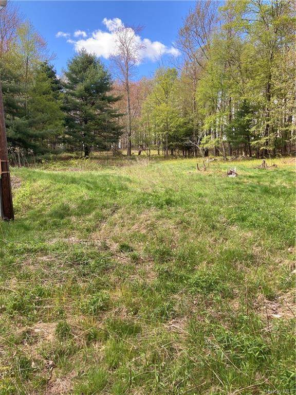358 Mutton Hill Road - Photo 1