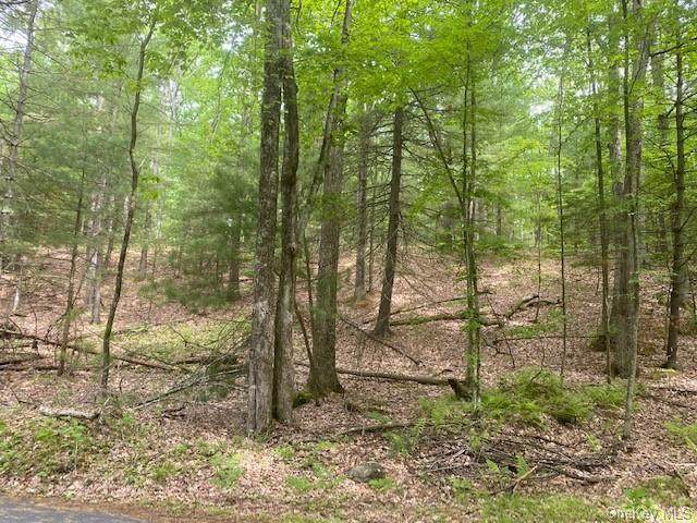 Cedar Drive - Photo 1
