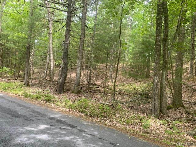 Birch Drive - Photo 1