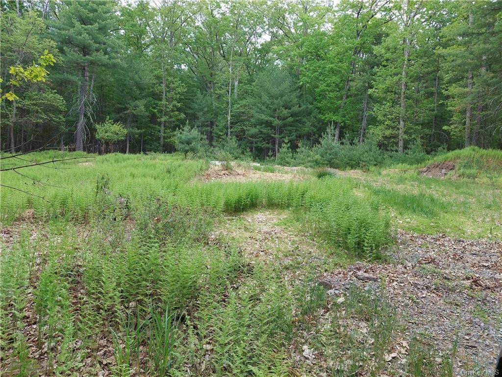 White Pine Trail - Photo 1