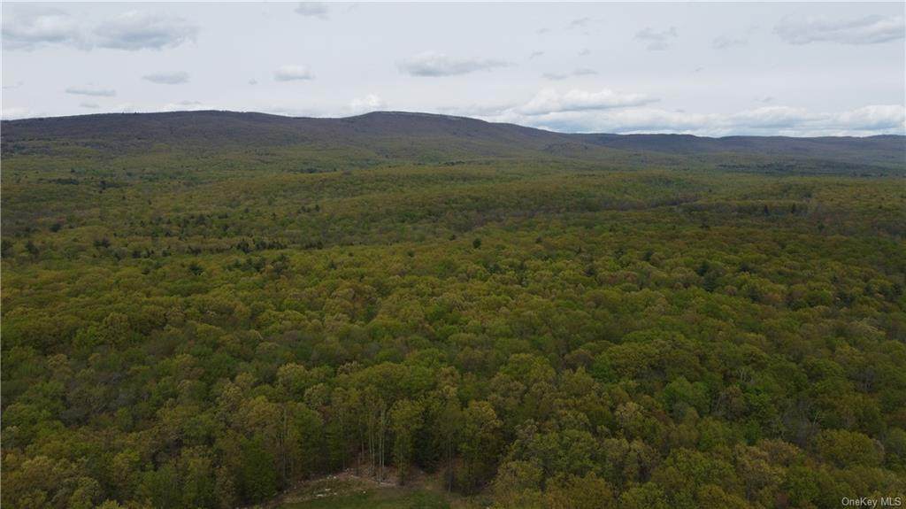 TBD Woods Road - Photo 1
