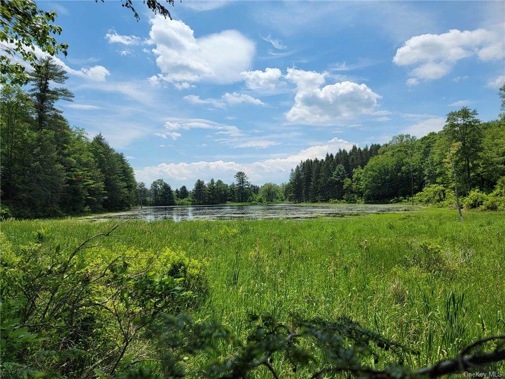 County Road 115 - Photo 1