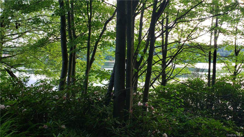 Lakeside Drive - Photo 1